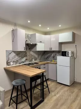 Студия Санкт-Петербург Полевая Сабировская ул., 45к1 (29.0 м)