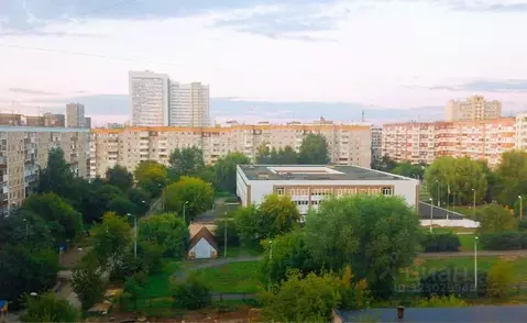 Студия Пермский край, Пермь просп. Декабристов, 39/1 (15.3 м)