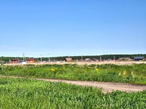 Участок в Омская область, Омский район муниципальный округ, Пушкинское ...