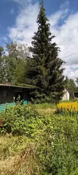 Дом в Ленинградская область, Кировский район, Путиловское с/пос, Назия ...