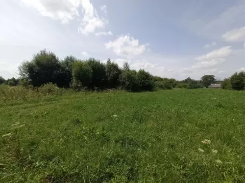 Участок в Калужская область, Ферзиковский район, Бебелевский ...