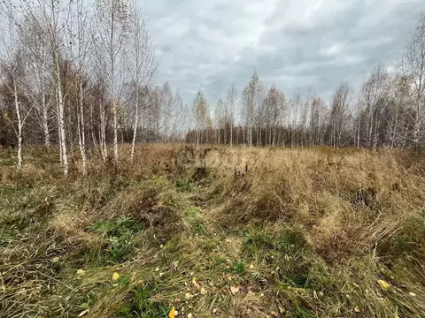 Участок в Новосибирская область, Новосибирский район, Плотниковский ...