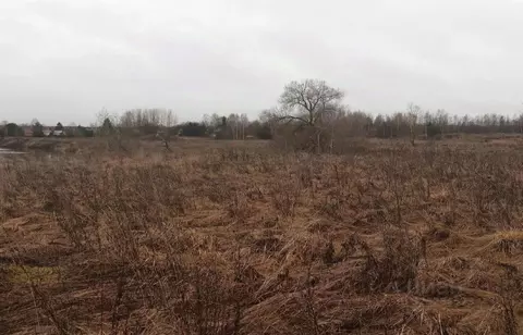 Участок в Московская область, Дмитровский муниципальный округ, д. ...