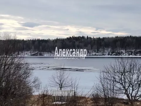 Участок в Ленинградская область, Подпорожское городское поселение, д. ...