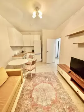 1-к кв. Московская область, Красногорск городской округ, Путилково пгт ...