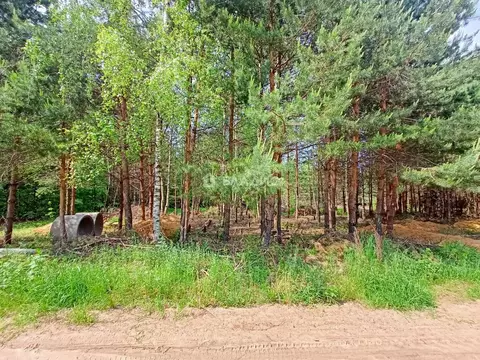 Участок в Владимирская область, Владимир с. Кусуново, пер. Волозин ...