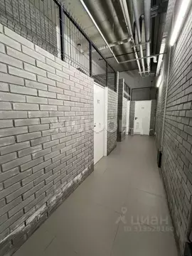 Помещение свободного назначения в Новосибирская область, Новосибирск ...