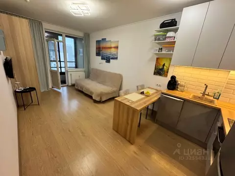 Студия Санкт-Петербург просп. Ветеранов, 169к1 (24.6 м)