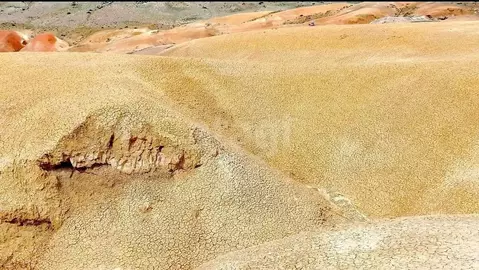 Участок в Алтай, Кош-Агачский район, с. Чаган-Узун  (2500.0 сот.)