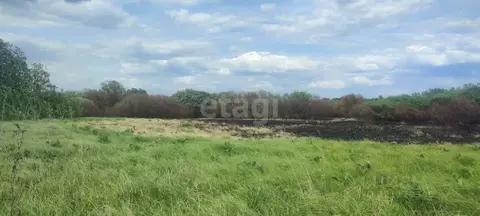 Участок в Воронежская область, с. Новая Усмань  (8.0 сот.)