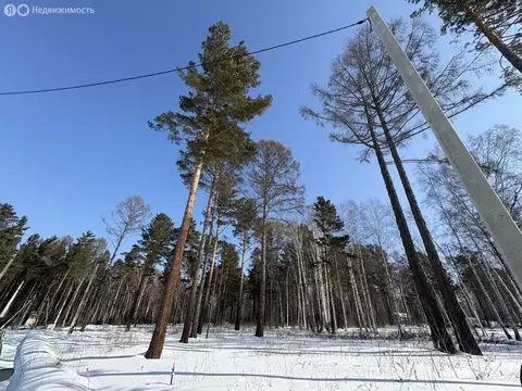 Участок в Иркутский муниципальный округ, ДНТ Петровская Слобода, ...