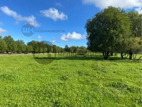 Участок в Ленинградская область, Всеволожский район, Романовское ...