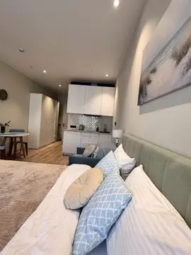 Студия Санкт-Петербург просп. Энергетиков, 8к2 (30.0 м)