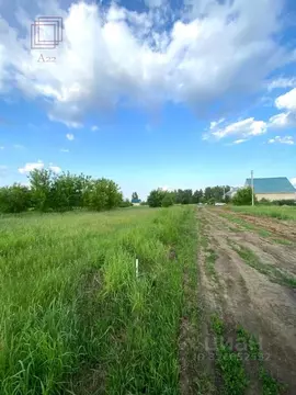 Участок в Алтайский край, Барнаул городской округ, пос. Бельмесево ул. ...