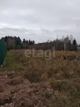Участок в Московская область, Можайский муниципальный округ, д. ...