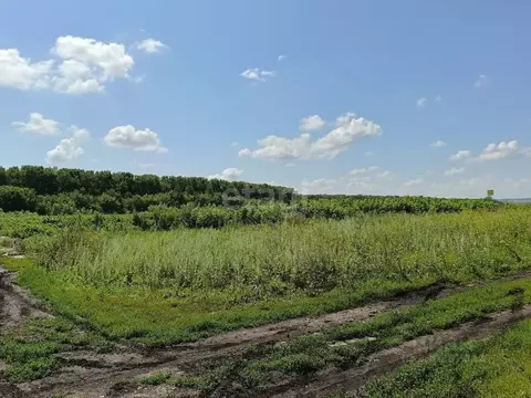 Участок в Башкортостан, Стерлитамакский район, д. Казадаевка, Любажи ...
