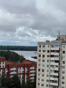 2-к кв. Санкт-Петербург Камышовая ул., 48К3 (57.0 м)