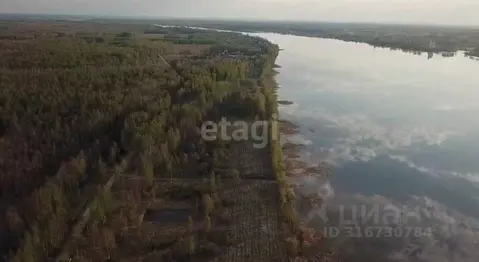 Участок в Ярославская область, Некрасовское с/пос, д. Новые Ченцы  ...