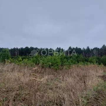 Участок в Тюменская область, Тюменский муниципальный округ, Пятница ...