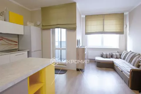 Студия Санкт-Петербург пос. Парголово, Заречная ул., 15к1 (26.6 м)