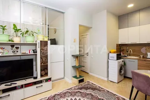 Студия Тюменская область, Тюмень Камчатская ул., 2/1 (29.5 м)