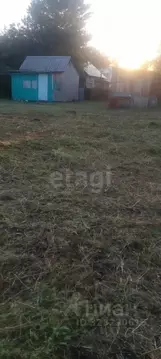 Участок в Новосибирская область, Новосибирский район, Раздольненский ...