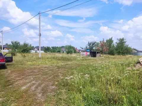 Участок в Воронежская область, Новоусманский район, Отрадненское ...