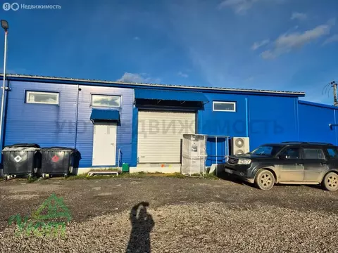 Помещение свободного назначения (300 м)