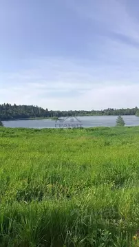 Участок в Новгородская область, Крестецкий муниципальный округ, д. ...