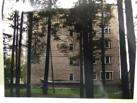 1-к кв. Тверская область, Весьегонск ул. Радищева, 14 (31.4 м)