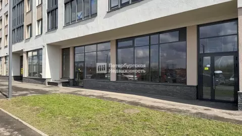 Помещение свободного назначения в Ленинградская область, Кудрово г. ...