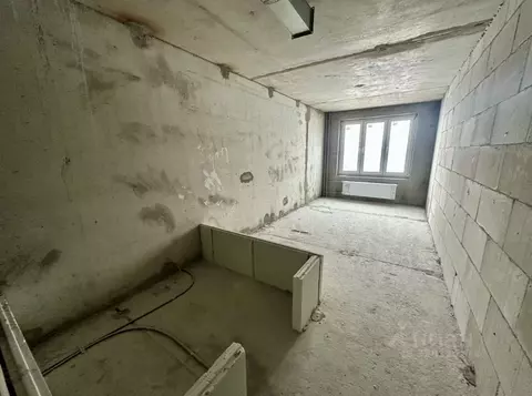 Студия Московская область, Балашиха ул. Дмитриева, 3 (19.3 м)