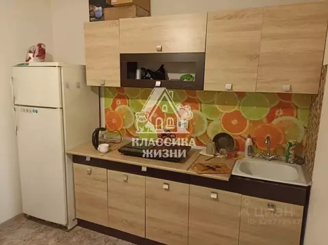 1-к кв. Нижегородская область, Дзержинск городской округ, Горбатовка ...