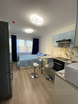 Студия Санкт-Петербург ул. Пахомовская, 8к3 (20.4 м)