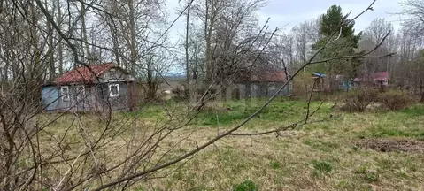 Участок в Вологодская область, д. Княгинино (Подлесный сельсовет)  ...