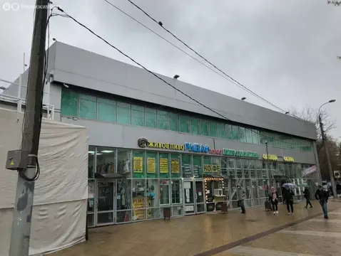 Помещение свободного назначения (19 м)