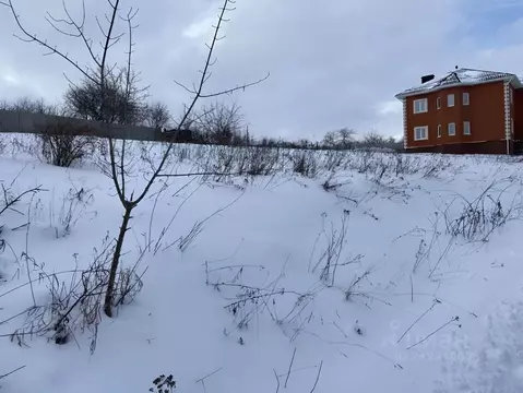 Участок в Белгородская область, Белгородский район, Майское с/пос, с. ...