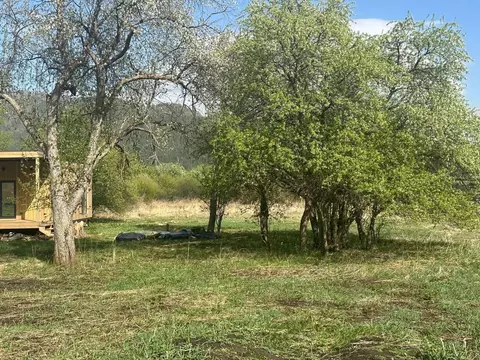 Участок в Алтай, Чемальский район, Радуга Жизни СНТ  (10.19 сот.)