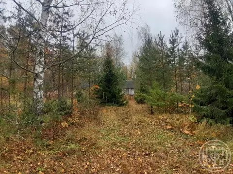 Участок в Ленинградская область, Приозерский район, Ромашкинское ...