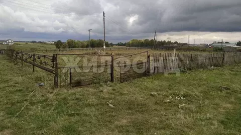 Участок в Алтайский край, Павловский район, с. Елунино Дачная ул. ...