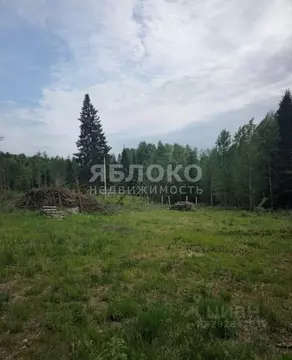 Участок в Пермский край, Березники № 99 СНТ,  (9.6 сот.)