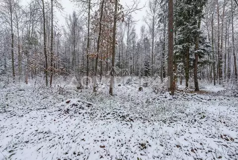 Участок в Москва д. Романцево,  (400.0 сот.)