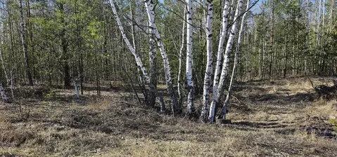 Участок в Московская область, Луховицы муниципальный округ, с. Городна ...