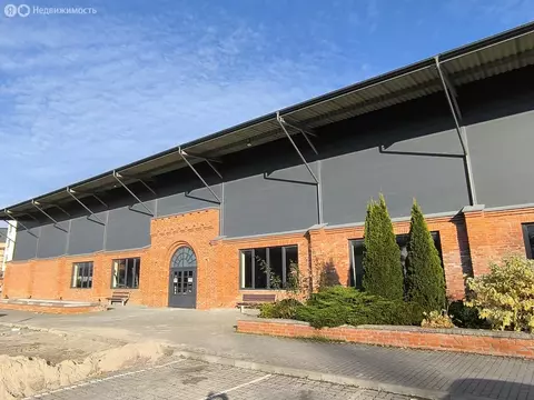 Помещение свободного назначения (2300 м)