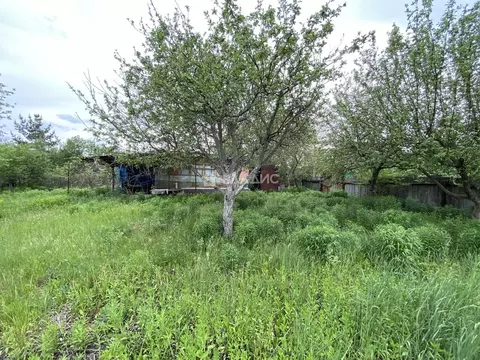 Участок в Воронежская область, Рамонский район, Новоживотинновское ...