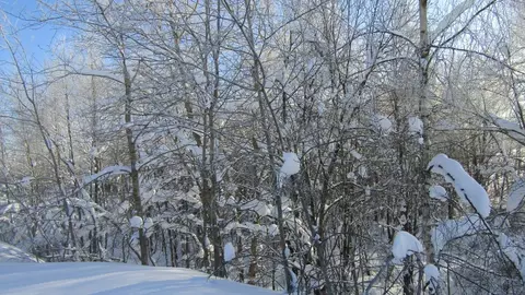 Участок в Московская область, Рузский муниципальный округ, с. Старо  ...