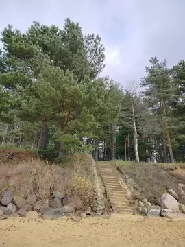 Участок в Ярославская область, Рыбинский муниципальный округ, д. ...