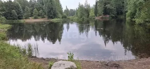 Участок в Ленинградская область, Всеволожский район, Сертоловское ...