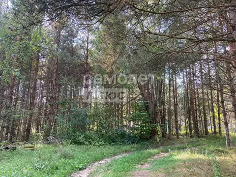 Участок в Псковская область, Печорский муниципальный округ, д. Кудина ...