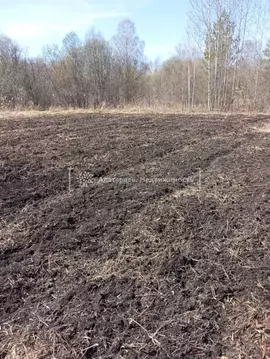 Участок в Томская область, Томский район, Богашевское с/пос, Семья СНТ ...